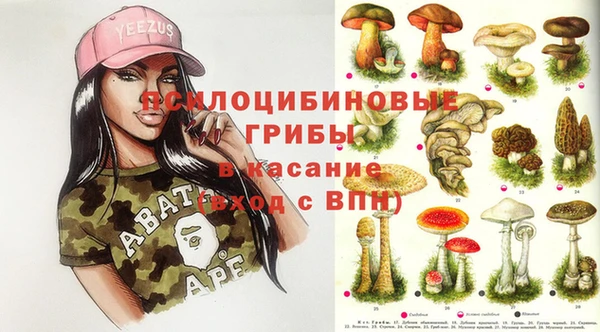 мяу мяу мука Пестово