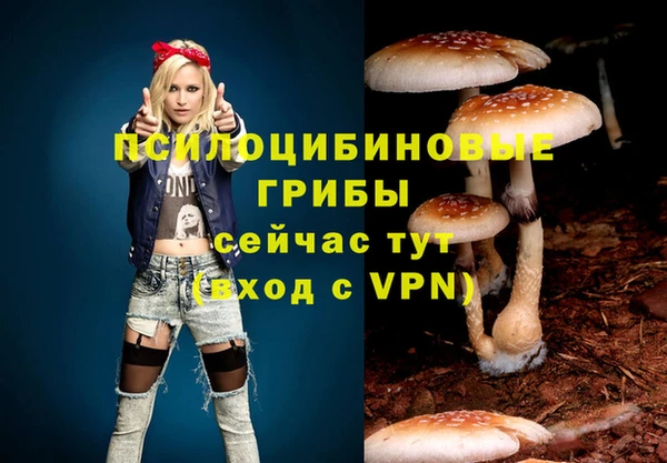 бошки Покачи