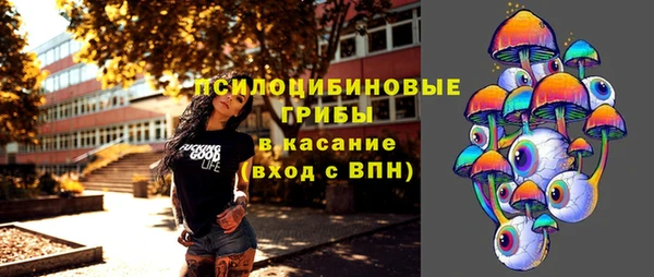 спайс Арсеньев