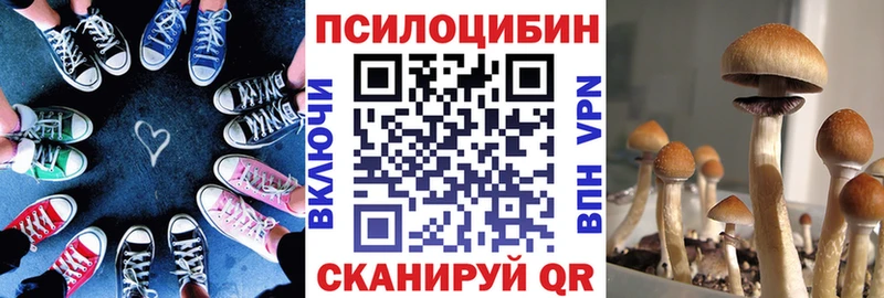 ссылка на мегу ONION  Белоозёрский  Галлюциногенные грибы Psilocybe 